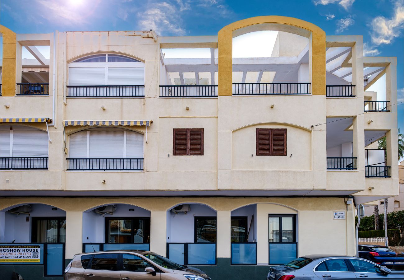 Апартаменты на Торревьеха / Torrevieja - ID61