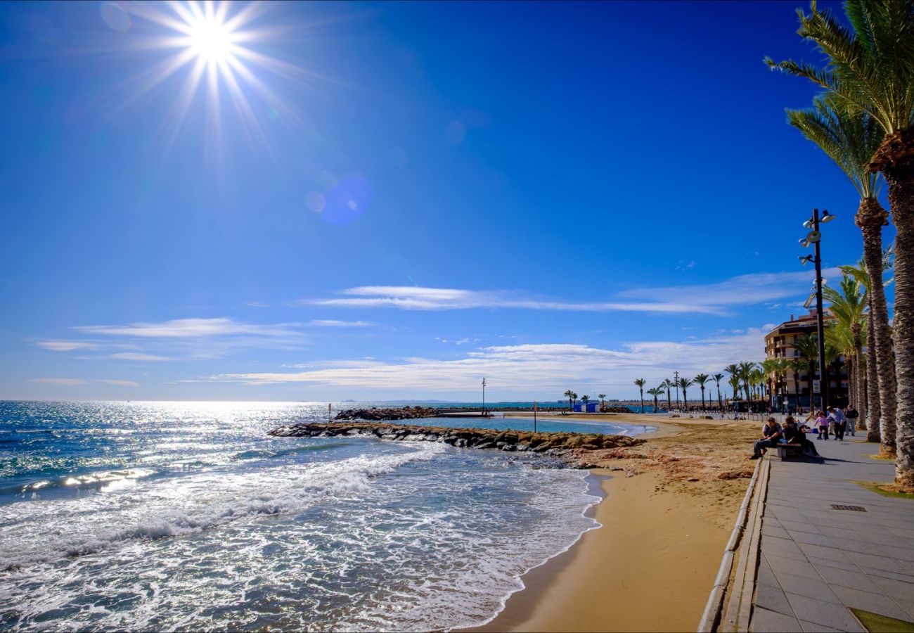Апартаменты на Торревьеха / Torrevieja - ID88