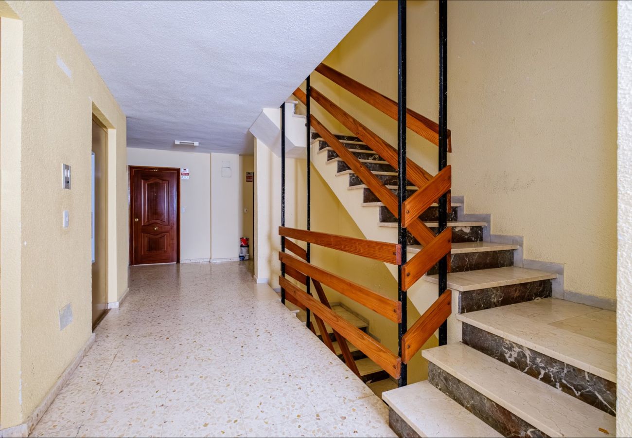 Апартаменты на Торревьеха / Torrevieja - ID65