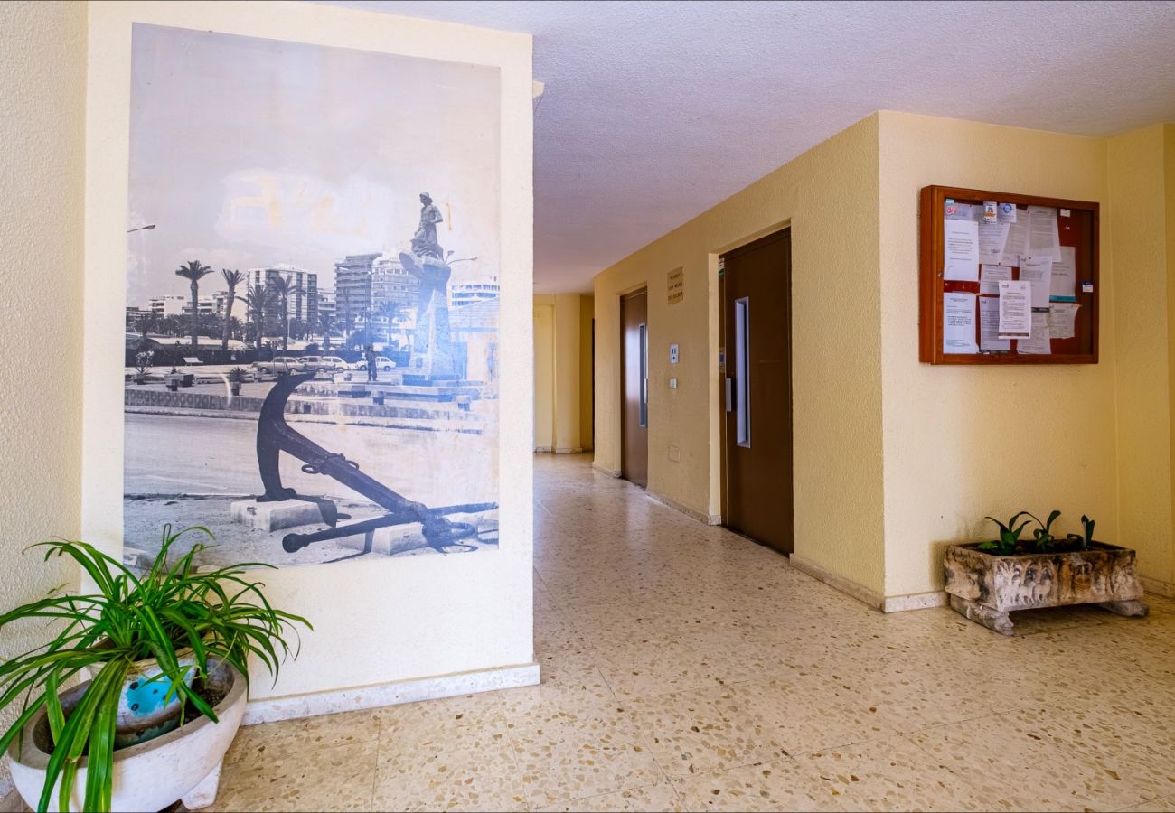 Апартаменты на Торревьеха / Torrevieja - ID65