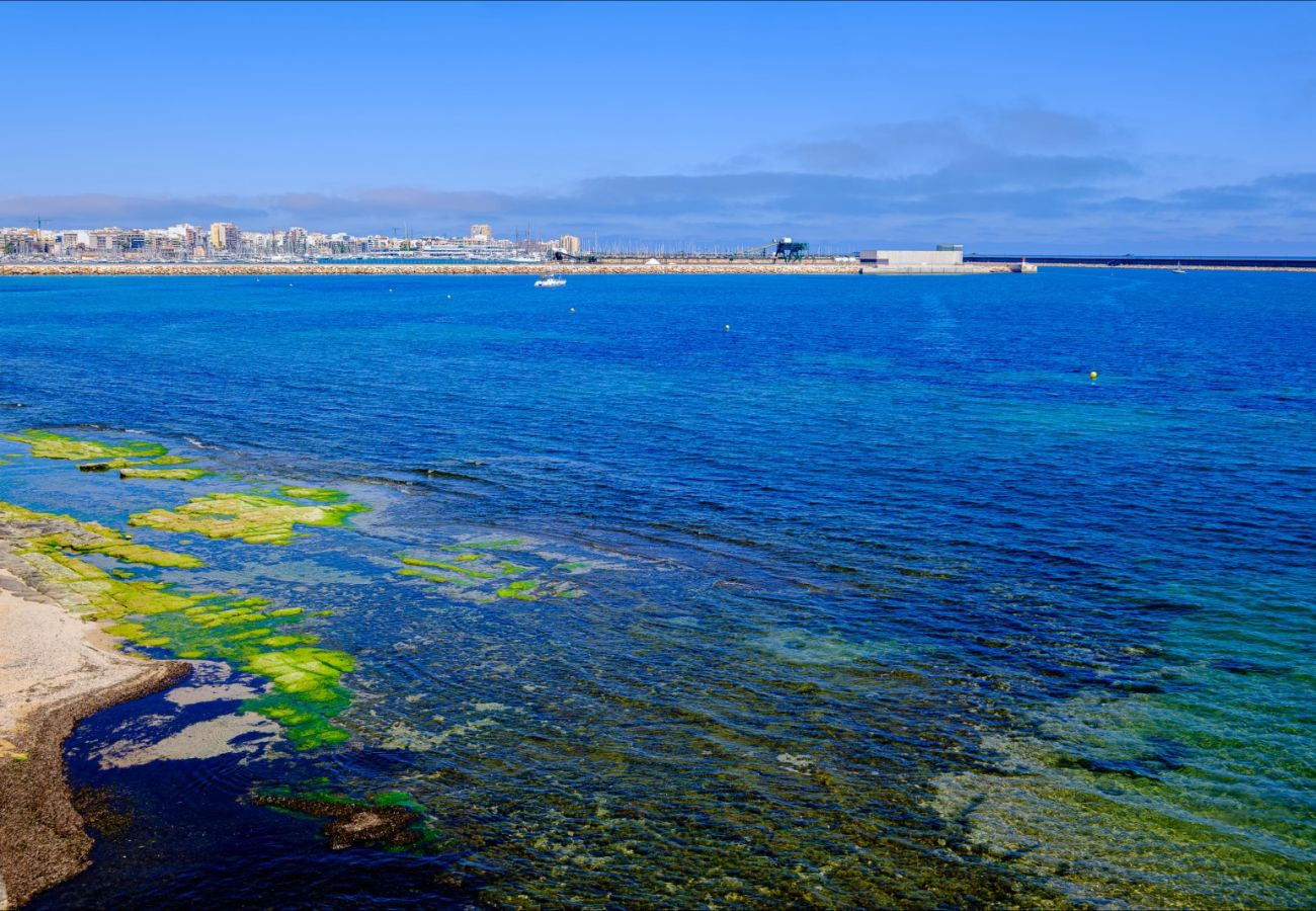 Апартаменты на Торревьеха / Torrevieja - ID65