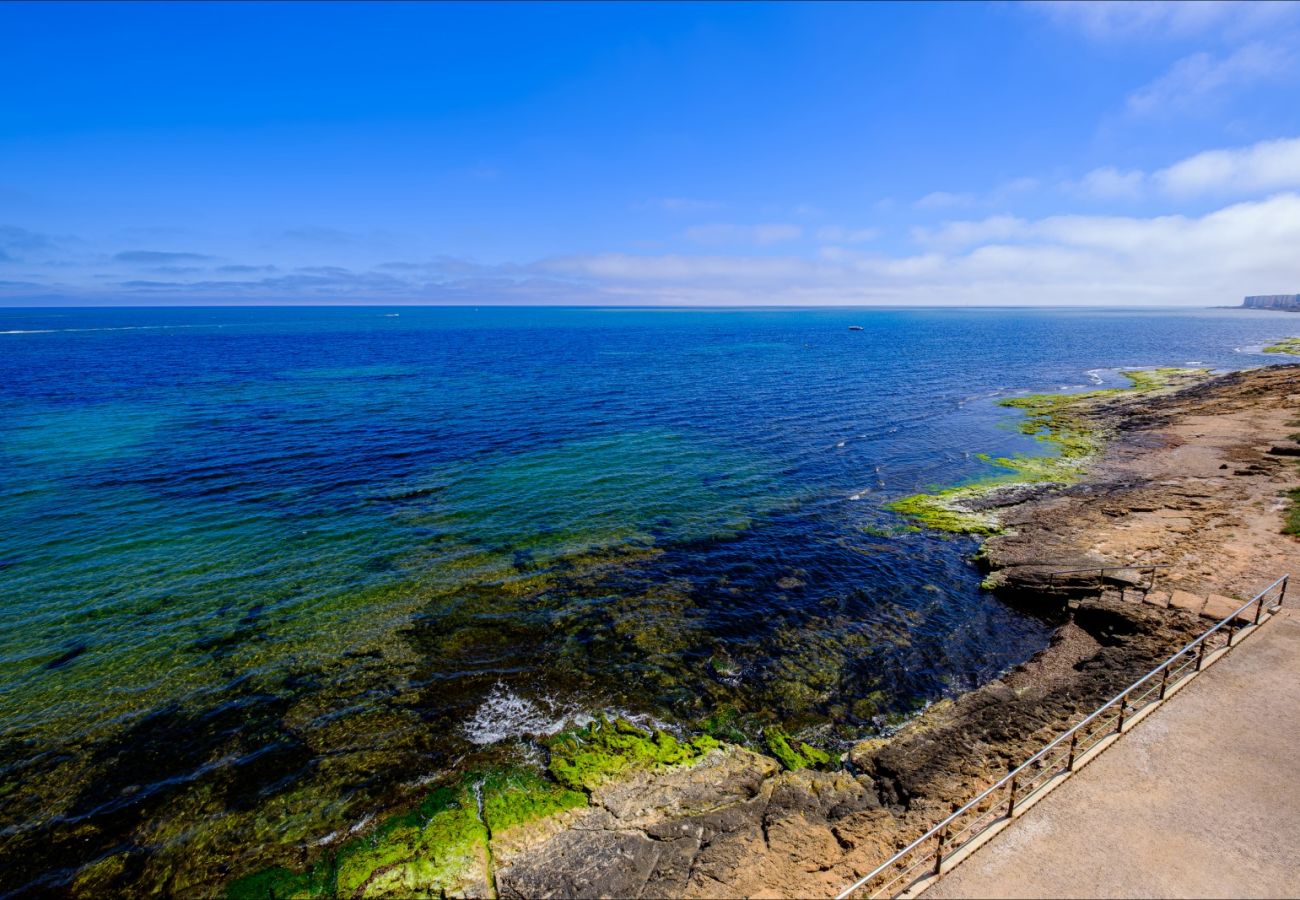 Апартаменты на Торревьеха / Torrevieja - ID65