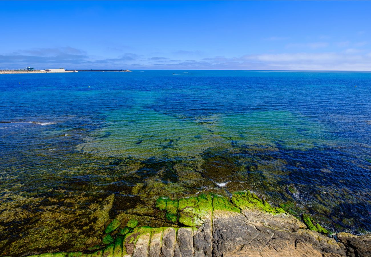 Апартаменты на Торревьеха / Torrevieja - ID65