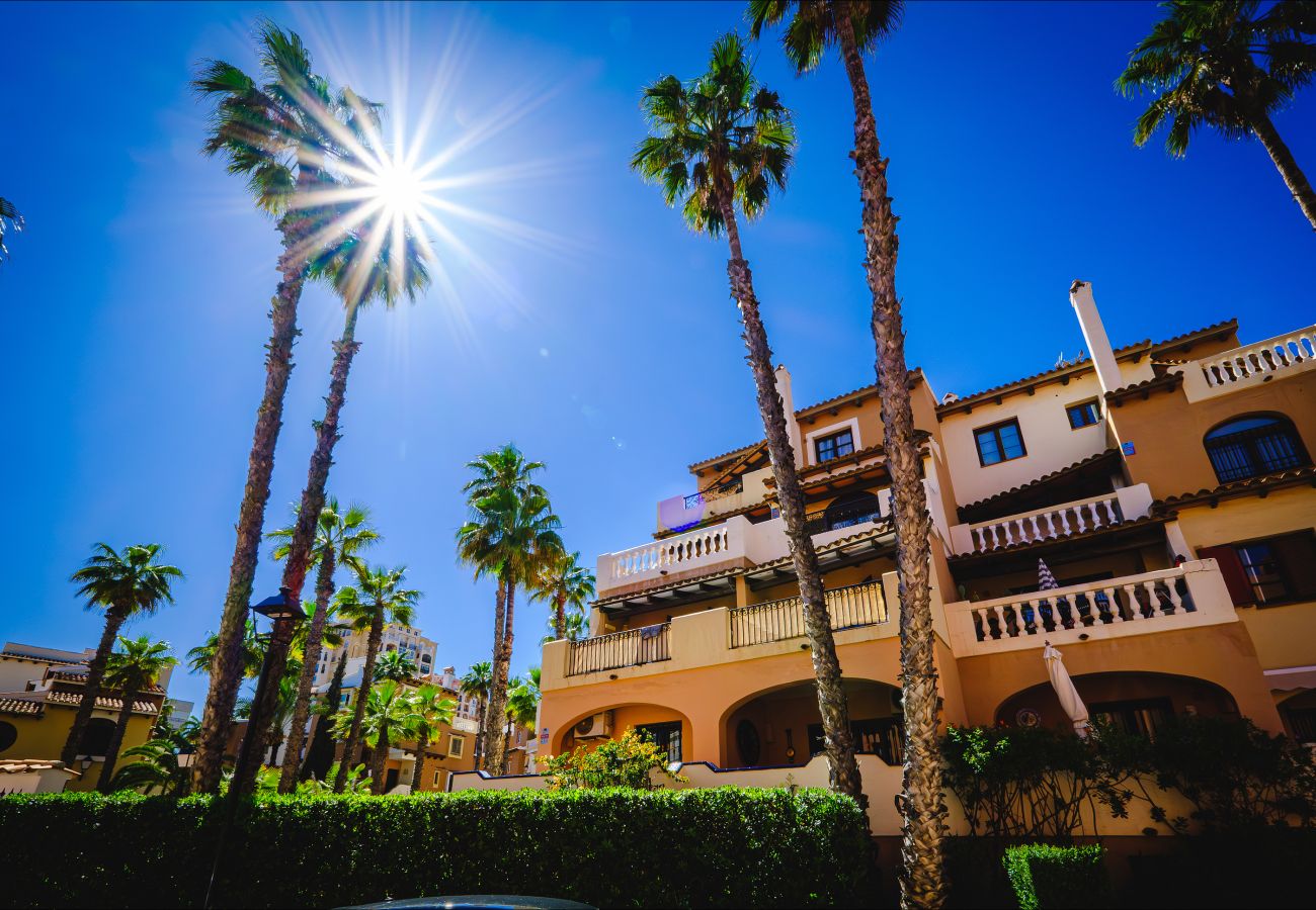 Апартаменты на Торревьеха / Torrevieja - ID67