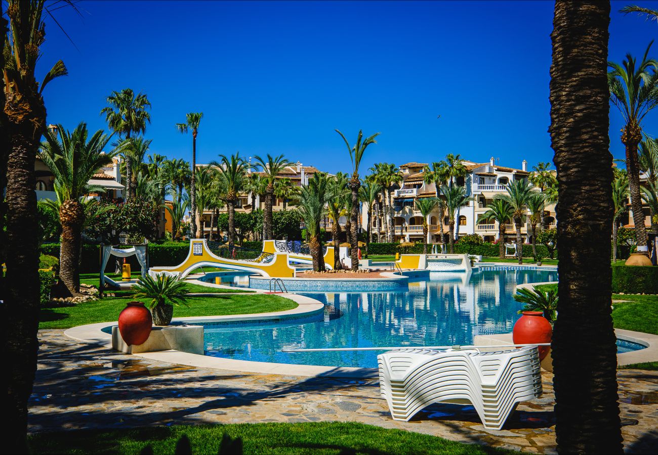 Апартаменты на Торревьеха / Torrevieja - ID67