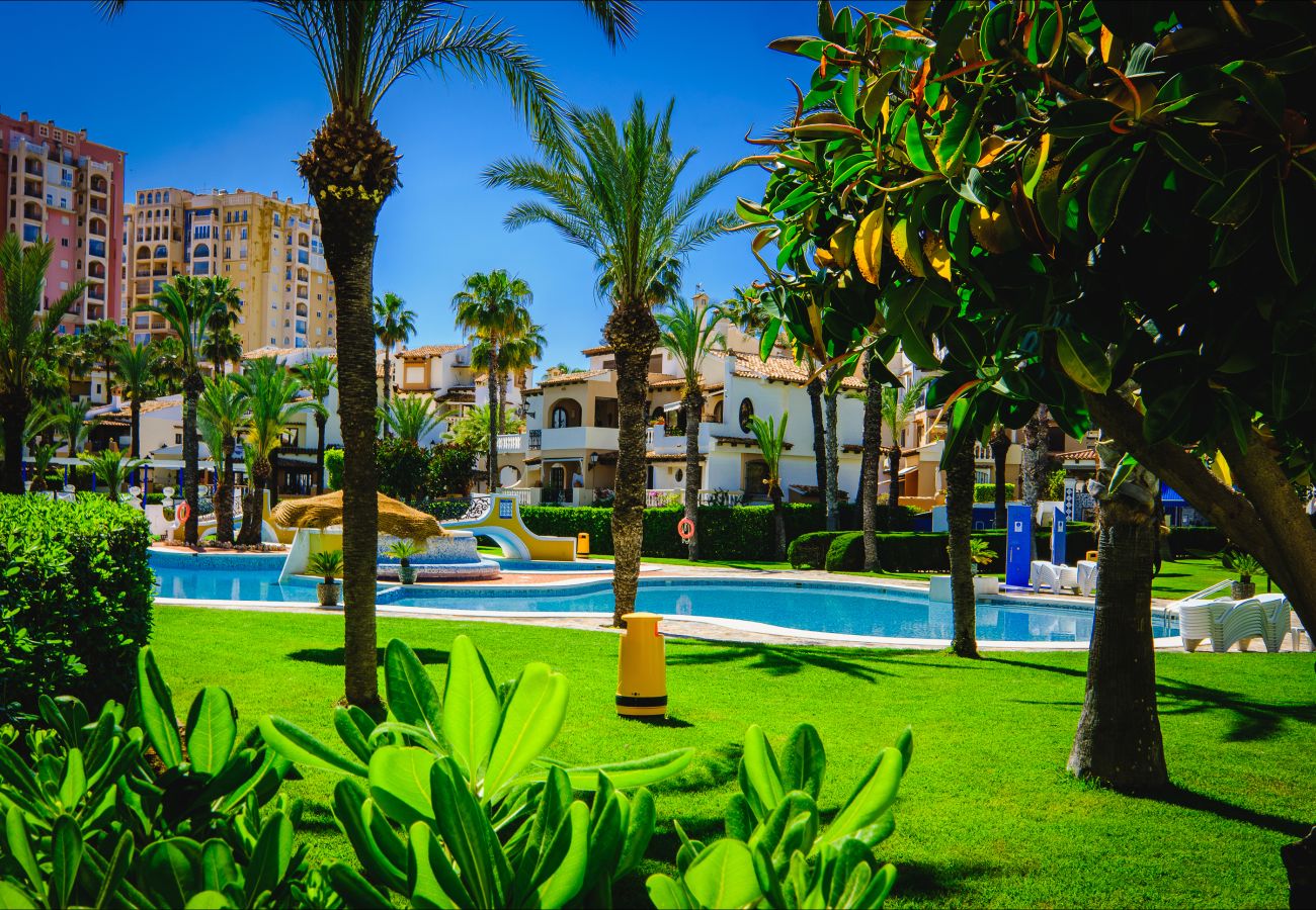 Апартаменты на Торревьеха / Torrevieja - ID67