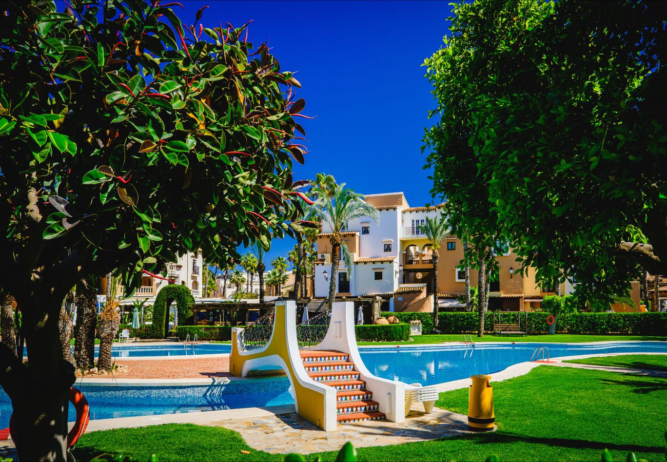 Апартаменты на Торревьеха / Torrevieja - ID67