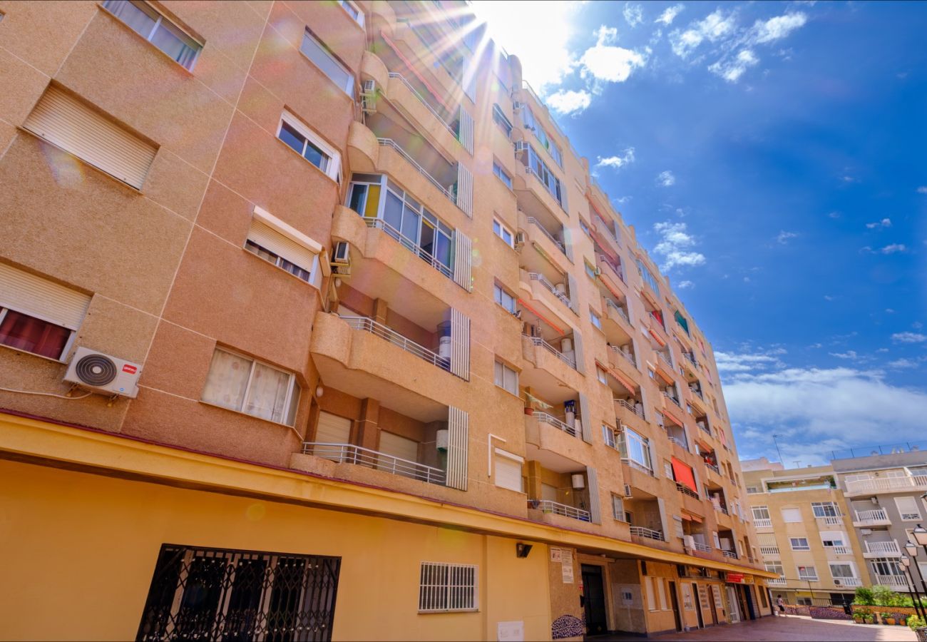 Апартаменты на Торревьеха / Torrevieja - ID56