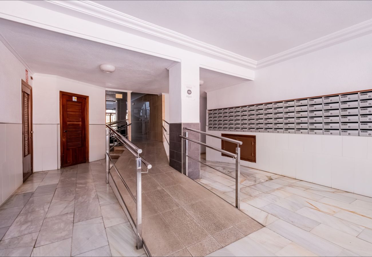 Апартаменты на Торревьеха / Torrevieja - ID56
