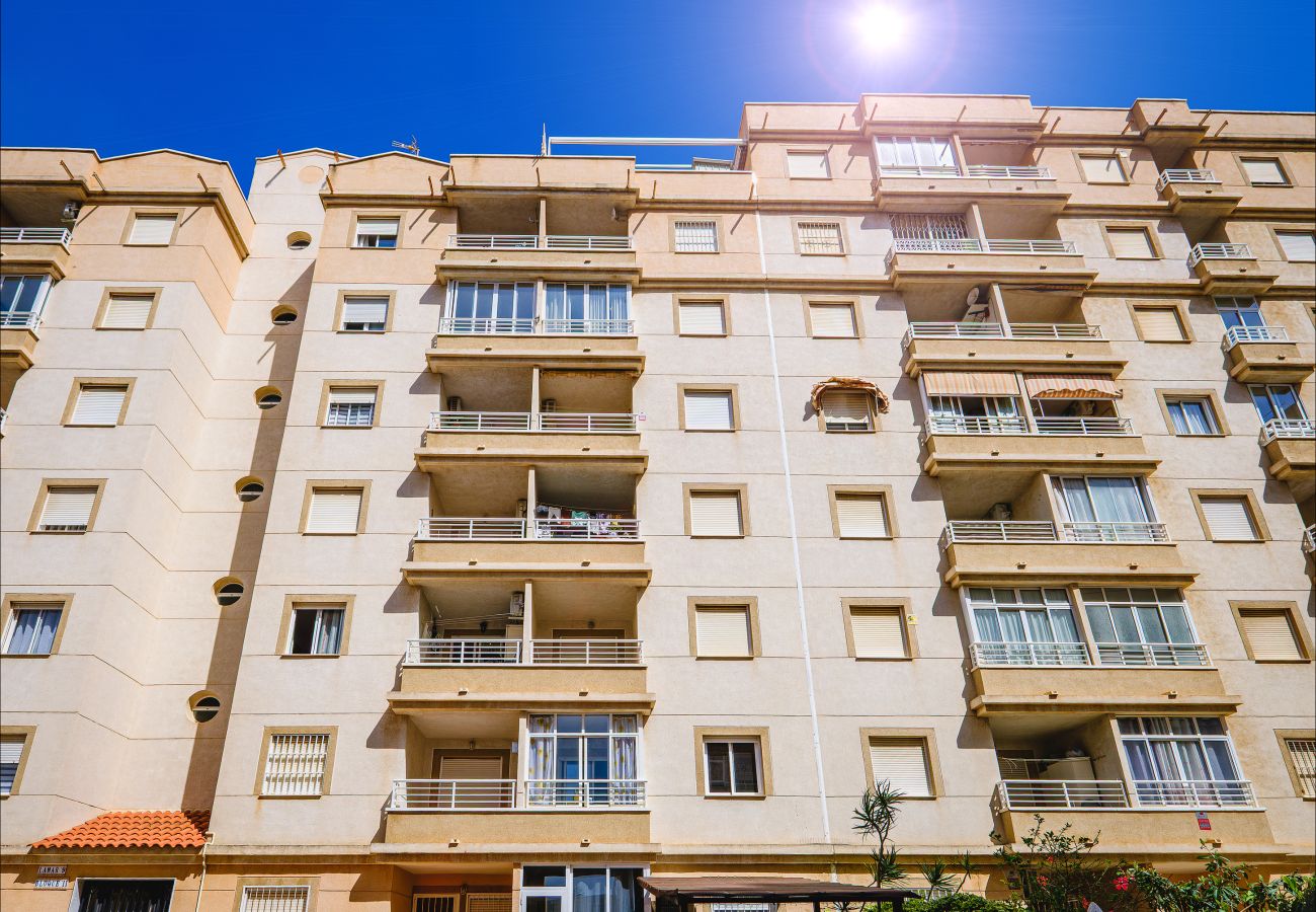 Апартаменты на Торревьеха / Torrevieja - ID164