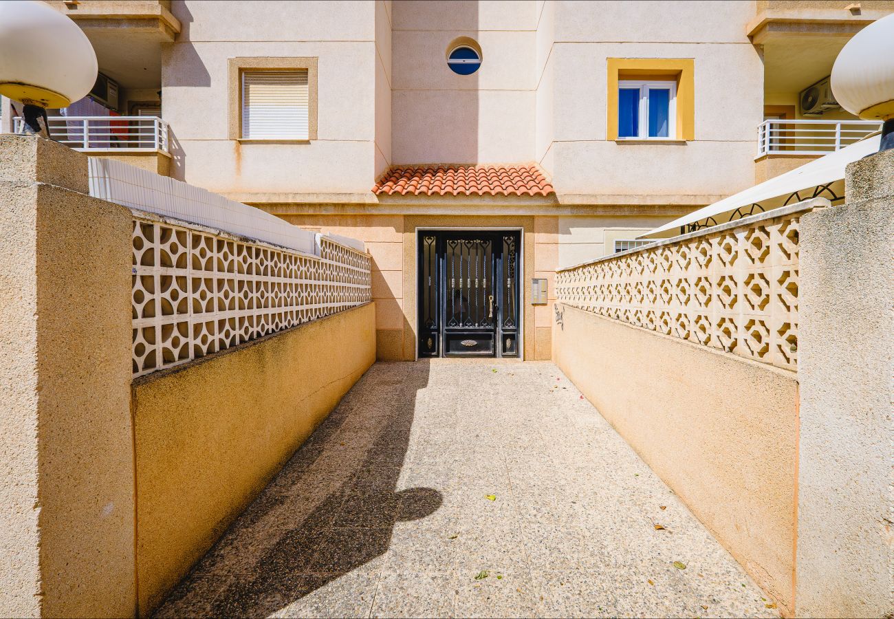 Апартаменты на Торревьеха / Torrevieja - ID164