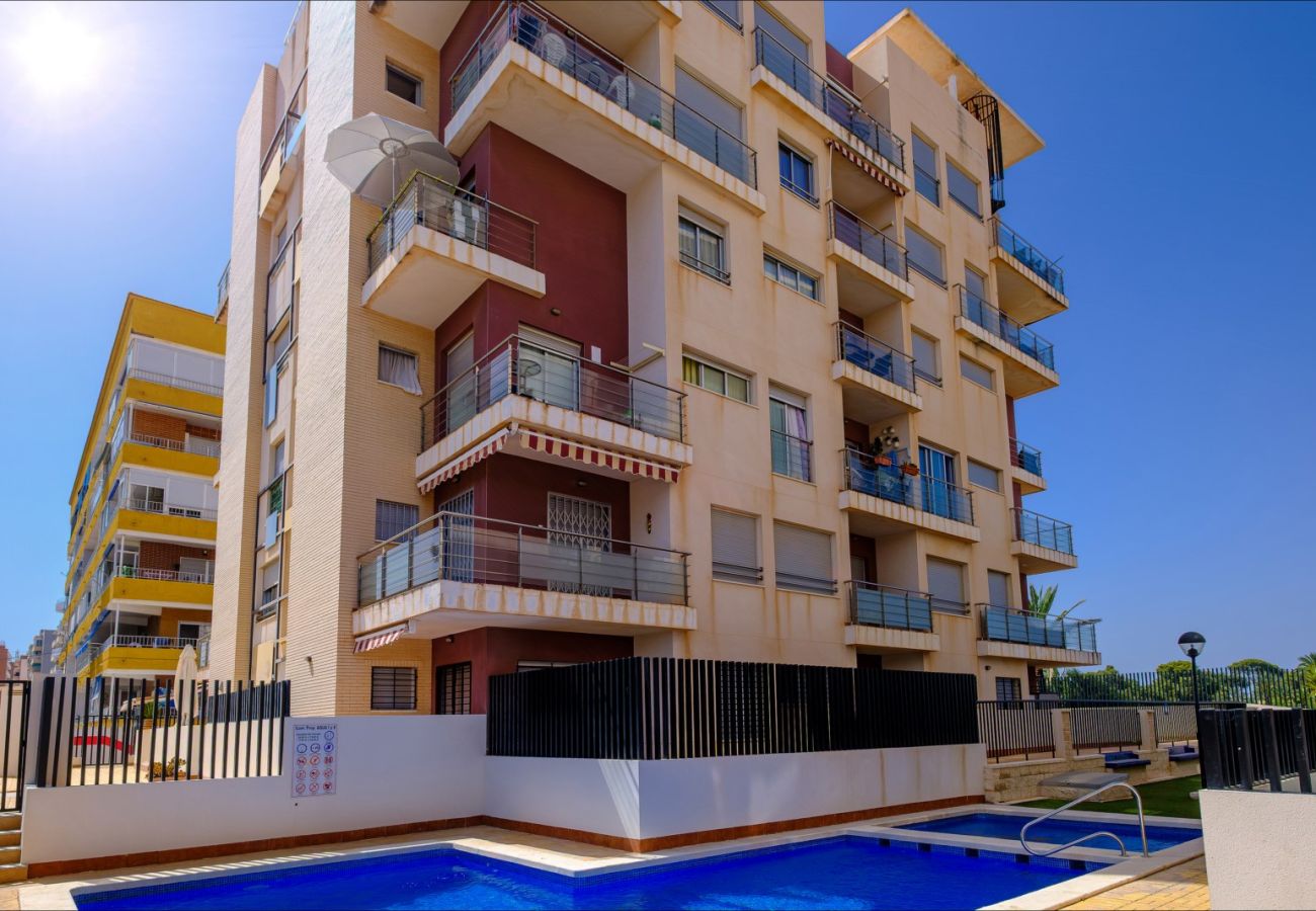 Апартаменты на Торревьеха / Torrevieja - ID78