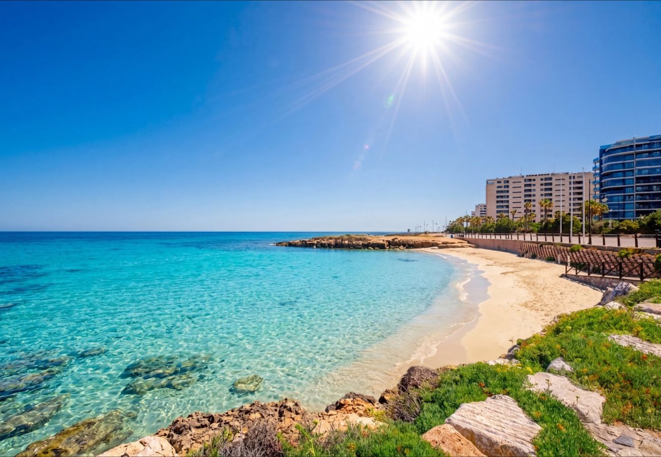Апартаменты на Торревьеха / Torrevieja - ID78