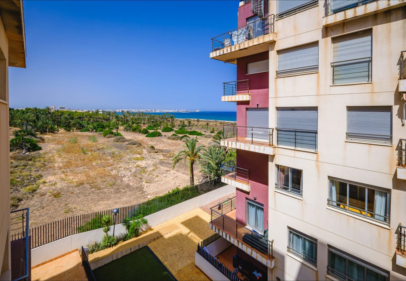 Апартаменты на Торревьеха / Torrevieja - ID78