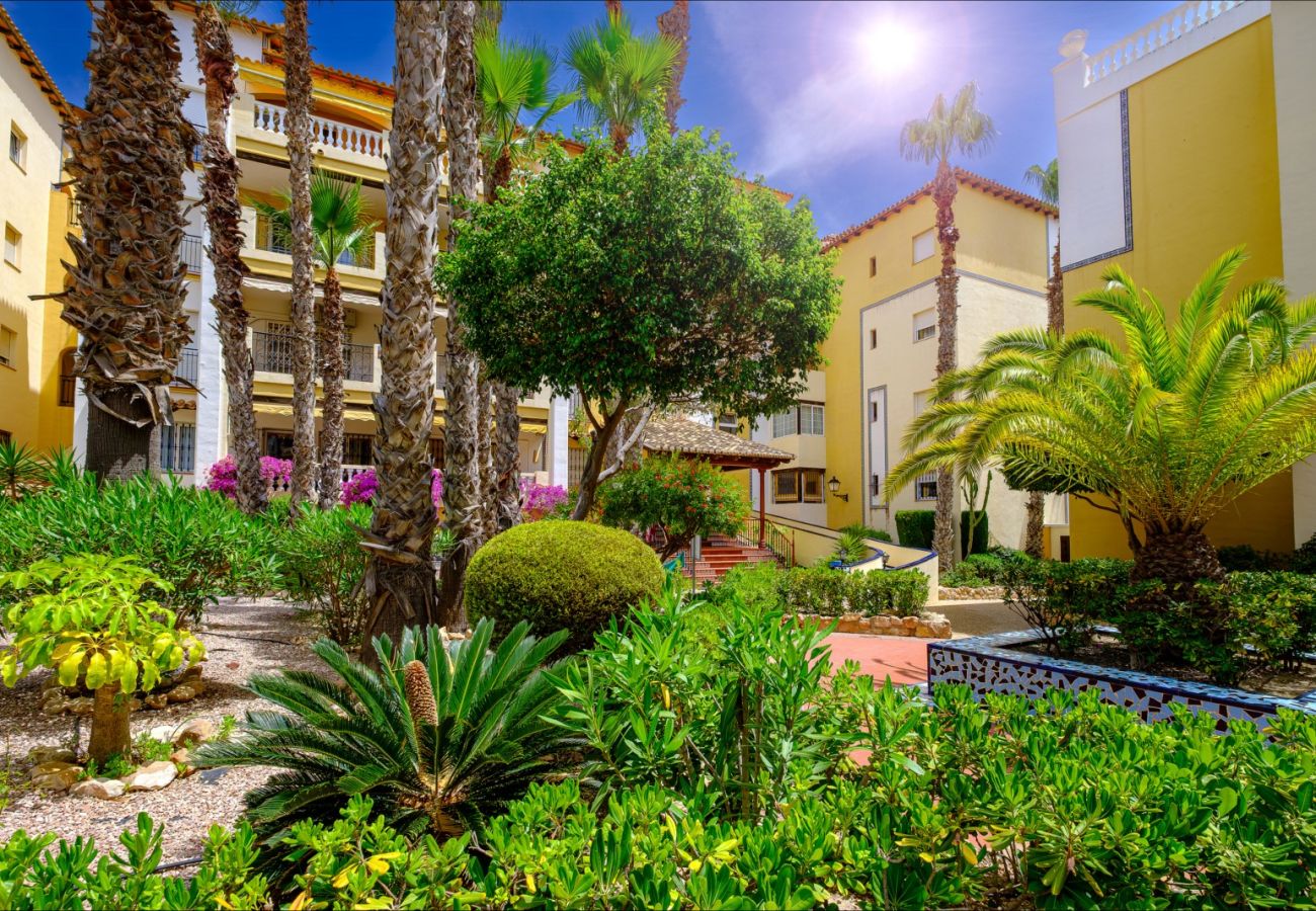 Апартаменты на Торревьеха / Torrevieja - ID87